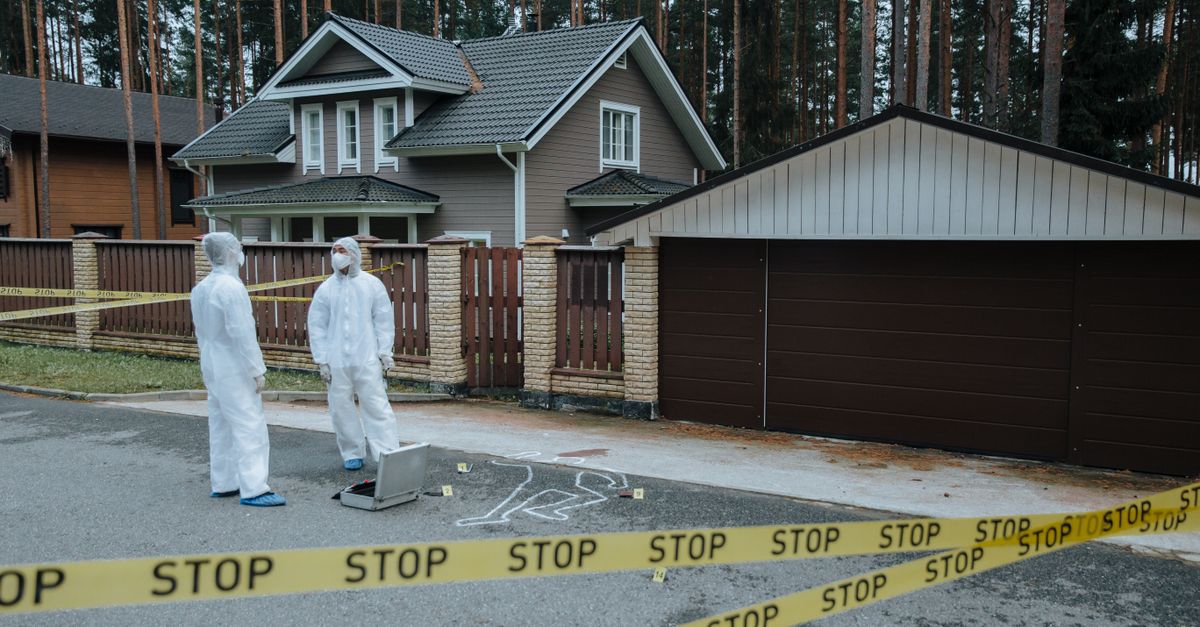 Artist rus critic al lui Putin, impuscat mort in Polonia