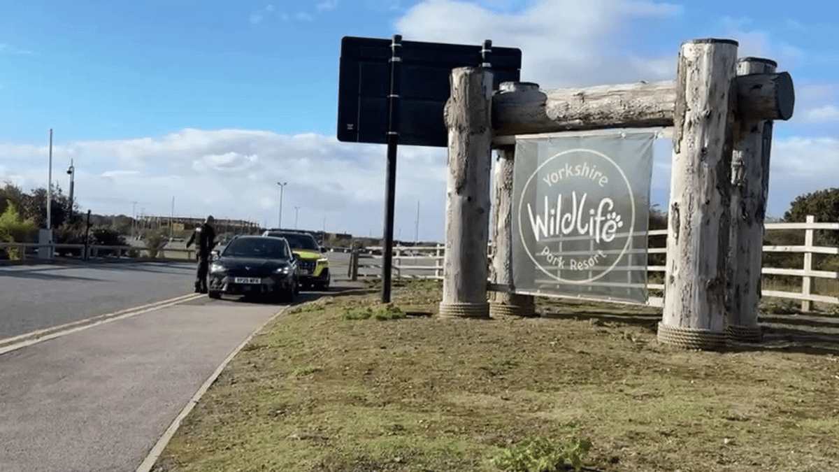 Un bărbat a murit după ce a sărit în țarcul unui tigru, la un zoo din Marea Britanie