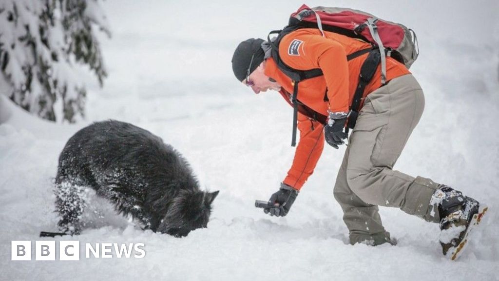 Parks Canada renunță la câinii de salvare din Banff după 55 de ani, val de critici