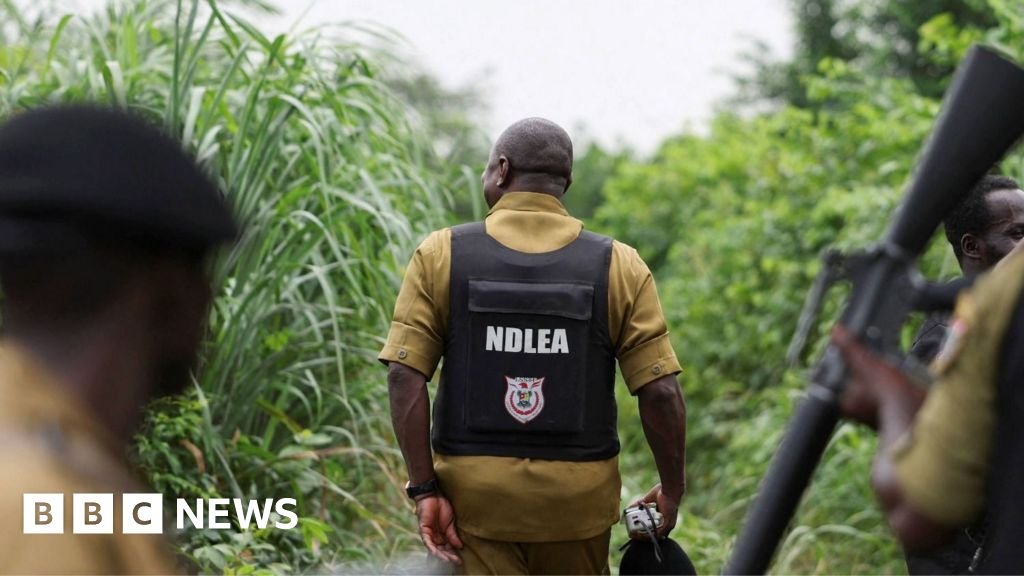 Cartelurile mexicane au mutat fabricile de droguri în Nigeria
