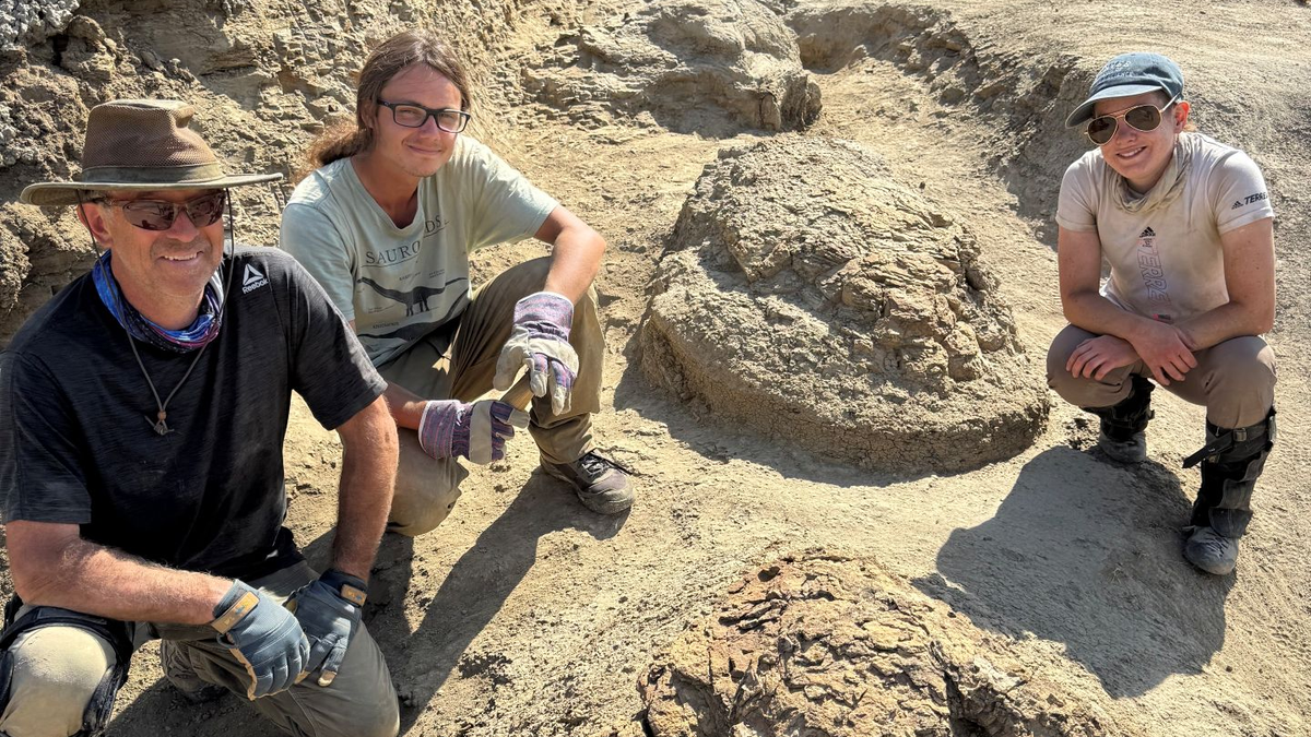 Prima urmă de pași a unui T-Rex adult, veche de 66,5 milioane de ani, descoperită