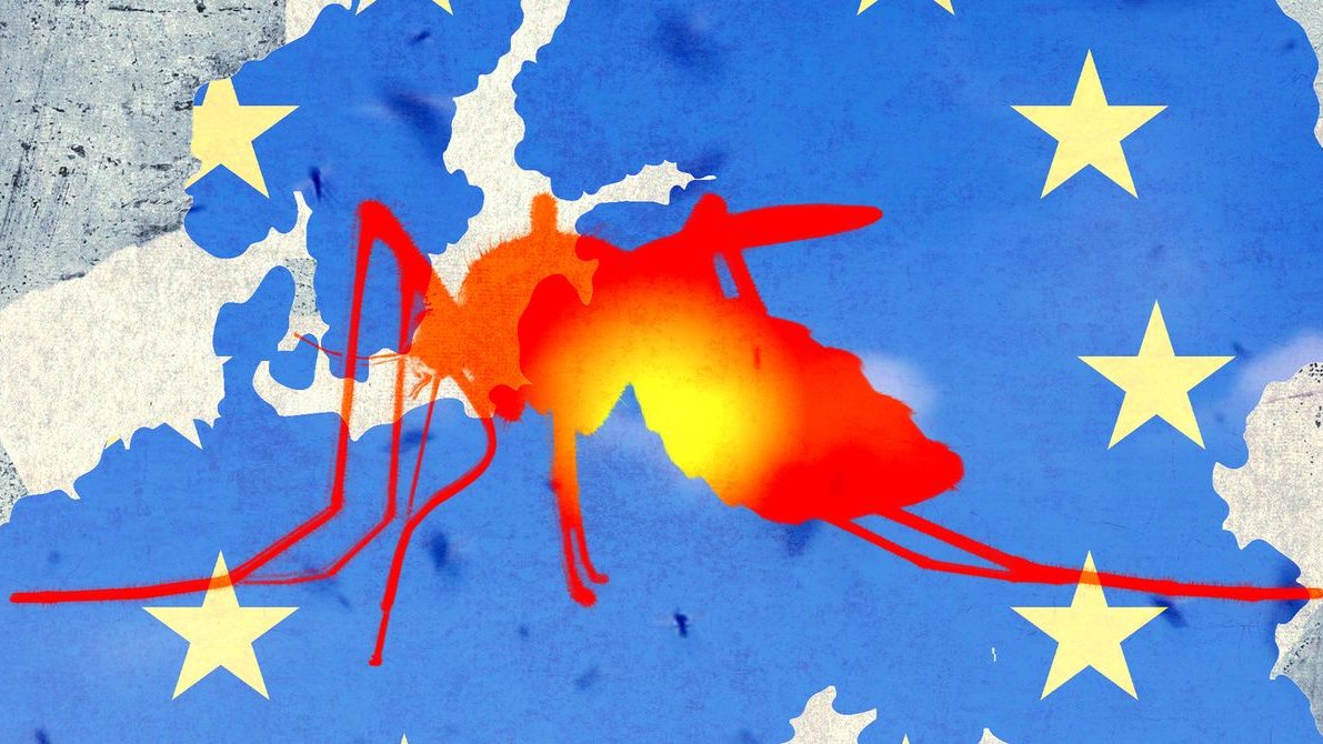 Dengue și chikungunya ajung în Europa: risc real pentru turiști