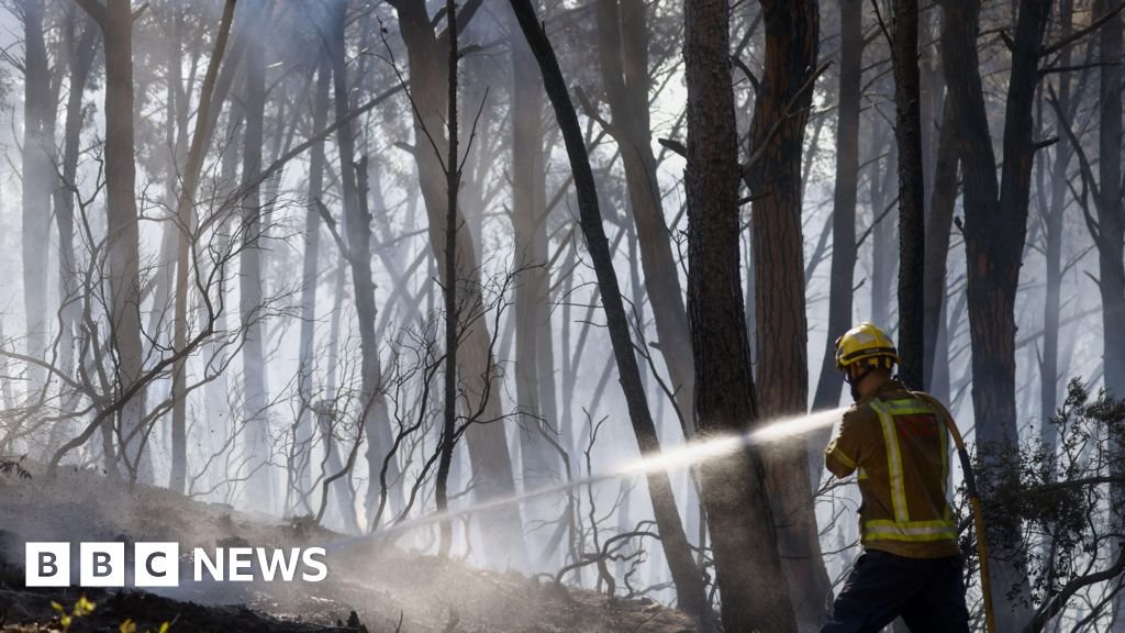 Incendii în Spania: 12 morți și un val de căldură care arde Europa