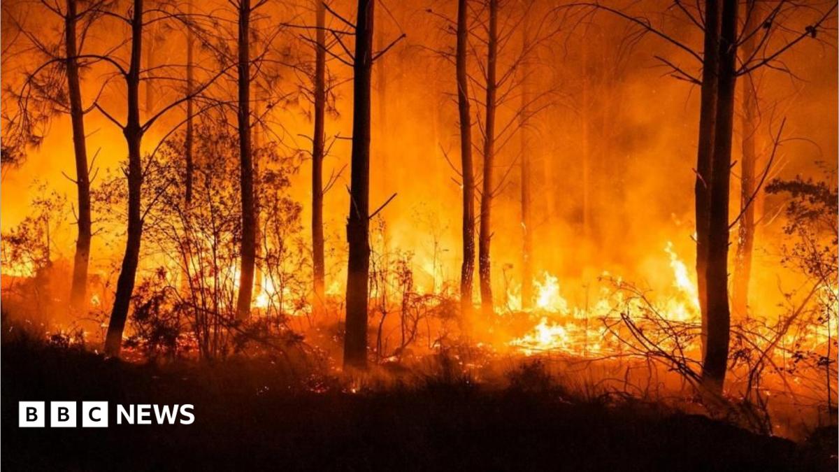 Incendii uriase in Spania si Franta: 200.000 evacuati