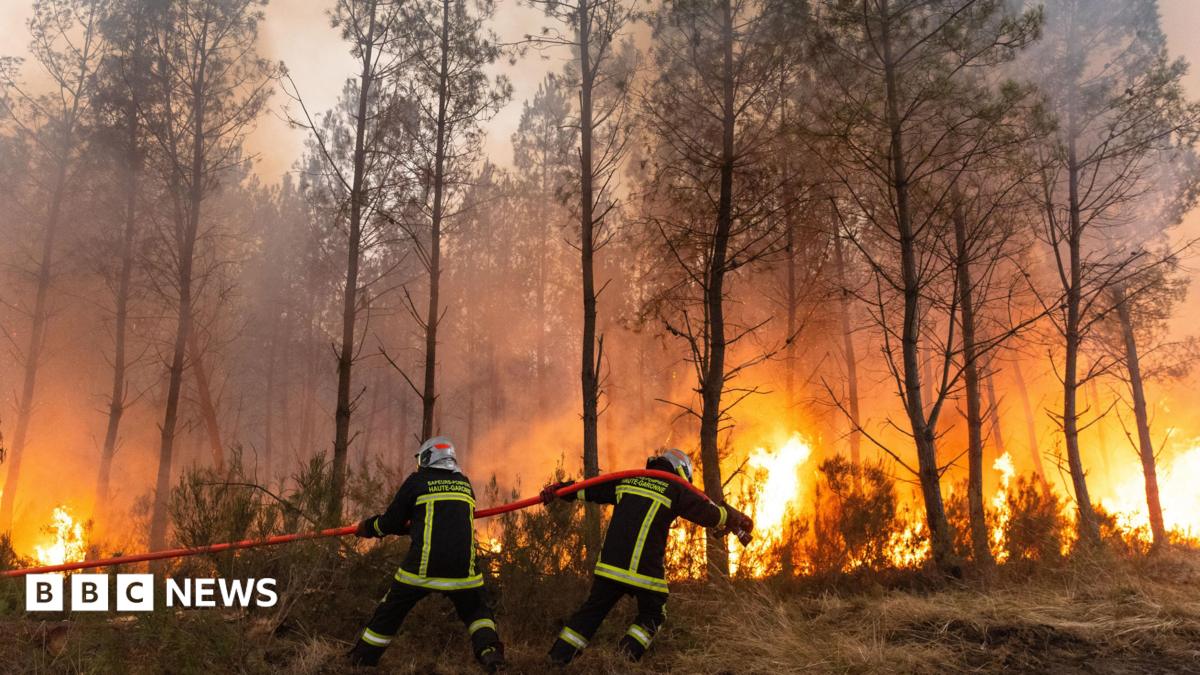 Incendii uriase langa Bordeaux: orasul sub amenintare