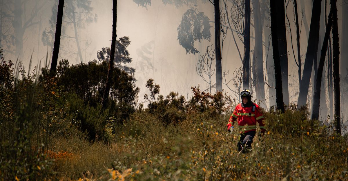Incendiu uriaș in Spania: 12 morți in valul de canicula