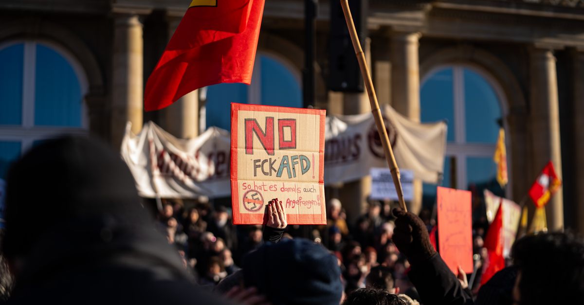 Merz ii spune sefei AfD ca remigrarea e curatare etnica