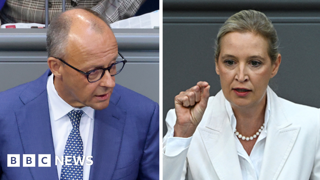 Merz o acuza pe Weidel in Bundestag: remigrarea e curatare etnica