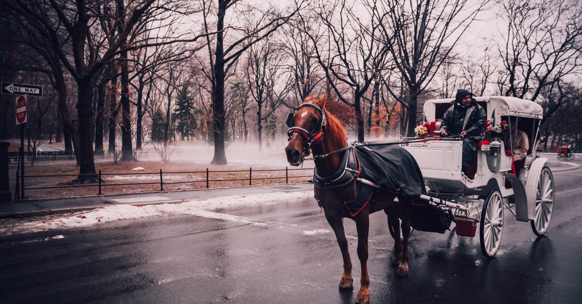 New York elimina trasurile cu cai din Central Park pana in 2028