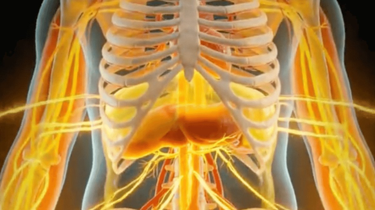 Simularea Mounjaro a devenit virală: ce se întâmplă în corp