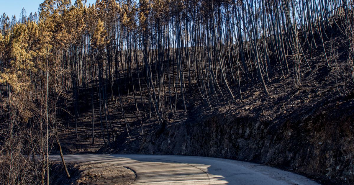 Spania: incendiu urias, cel putin 12 morti si 4 britanici