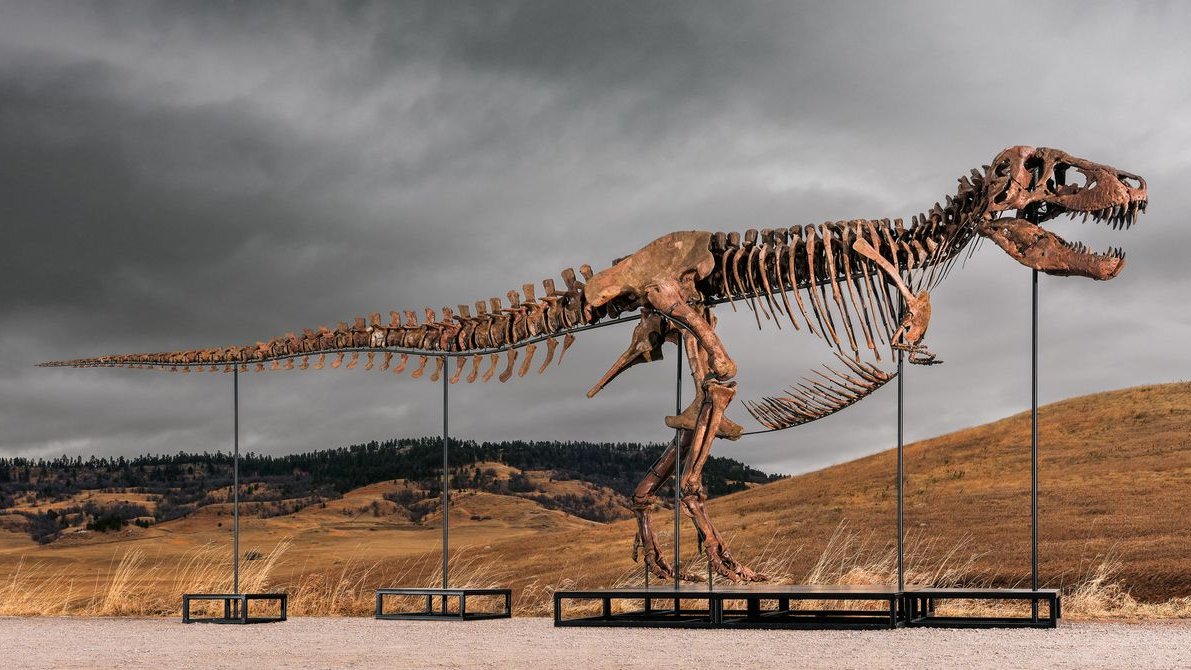 T-Rex la licitație: când bogăția privată bate știința