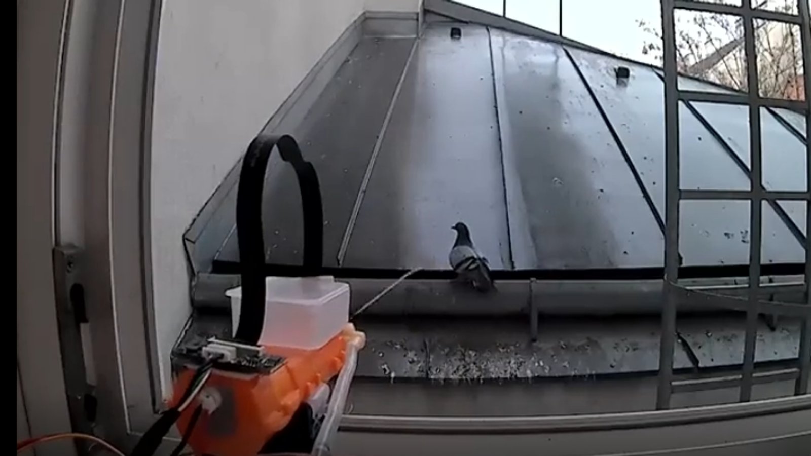 Tunul cu apă controlat de AI care alungă porumbeii de pe balcon